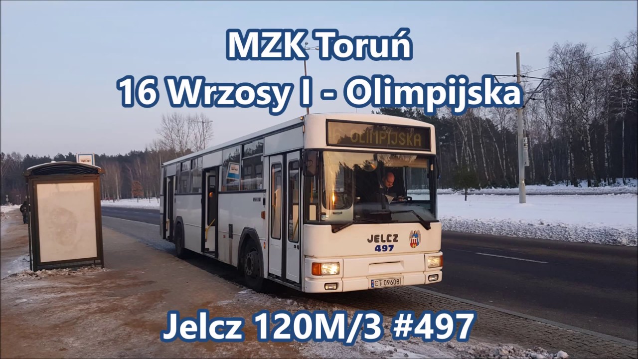 MZK Toruń - linia 16, Jelcz 120M/3 #497