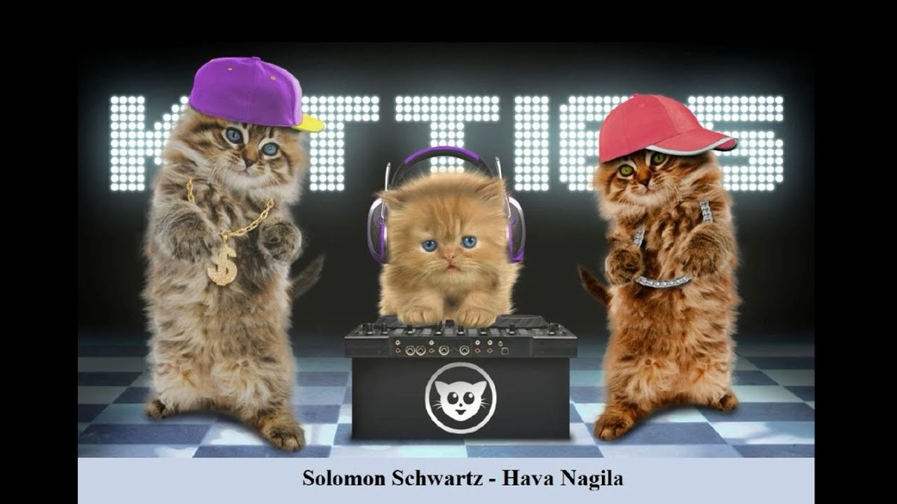 Solomon Schwartz  Hava Nagila