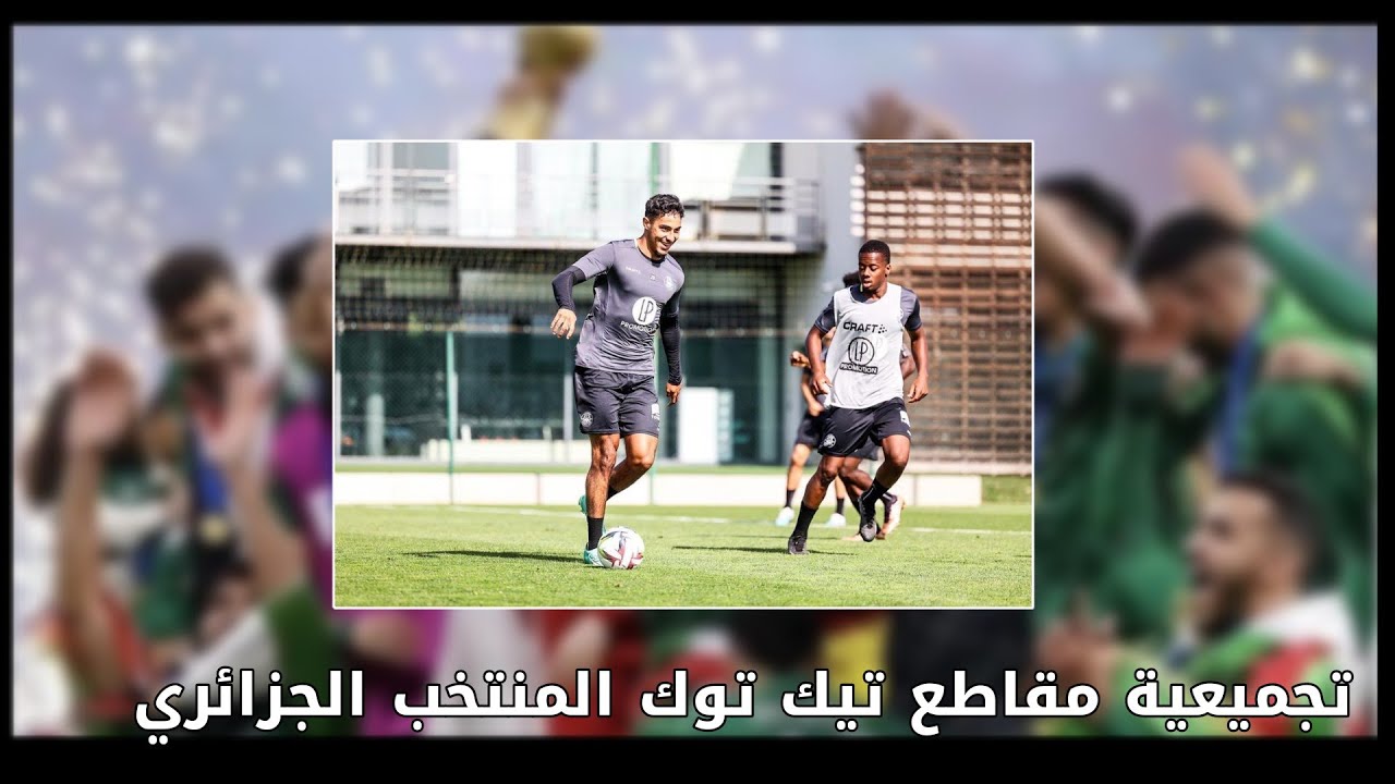Tik Tok of the Algerian national team || تجميعية مقاطع تيك توك    المنتخب الجزائري😍🇩🇿