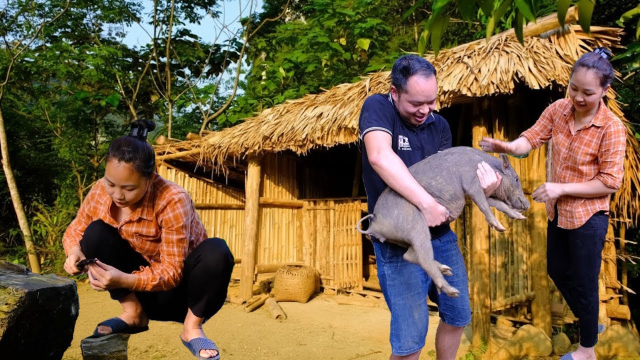 Incredible Primitive Skills: From Chicken Farming to Fishing and Pig Raising