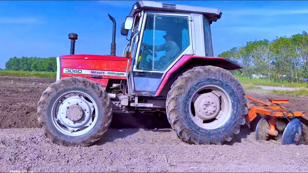Máy Cày Massey Ferguson 3060 Đổ Rò Mì Ở Cầy Xiên Châu Thành, Thiện Vũ TV