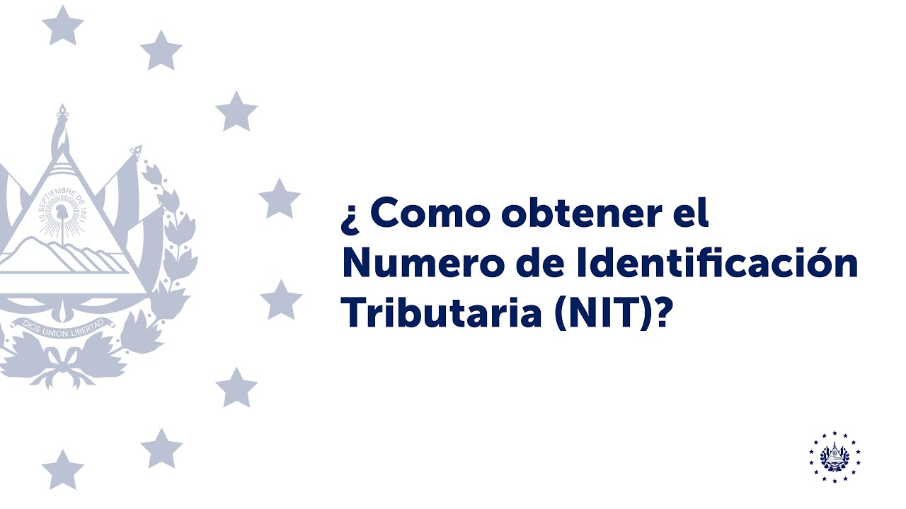 ¿Cómo obtener el nit y el nit de importador? Asesórate con CONAMYPE.