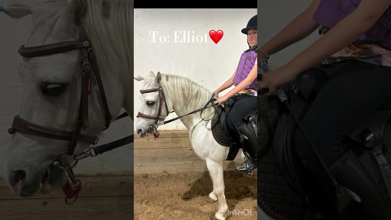 ❤️❤️❤️#&auml;lskarelliot #h&auml;star #ponny