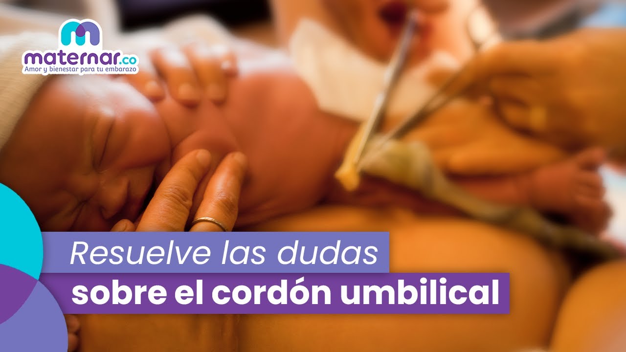Cord&oacute;n umbilical: &iquest;Por qu&eacute; se enreda en el cuello del beb&eacute;? | Maternar.co