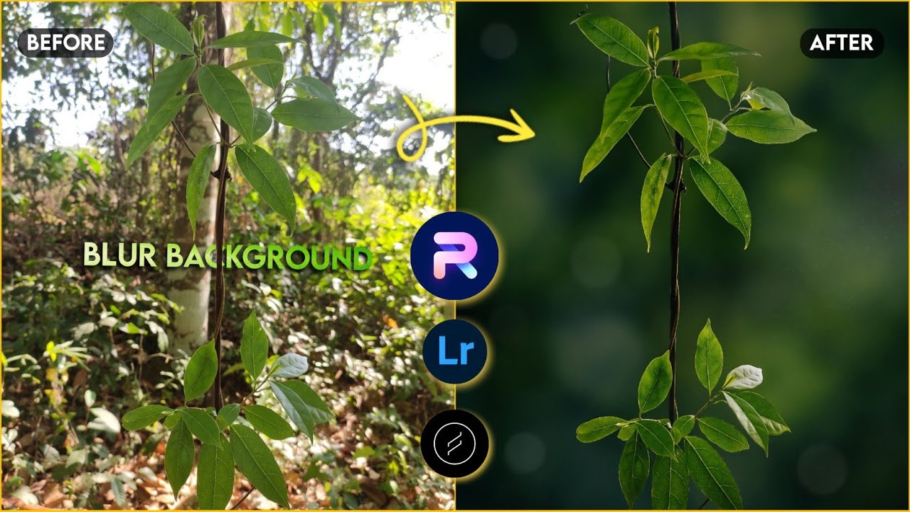 How to Blur Image Background and Create Moody Green Photo Editing in Lightroom | PhotoRoom Editing