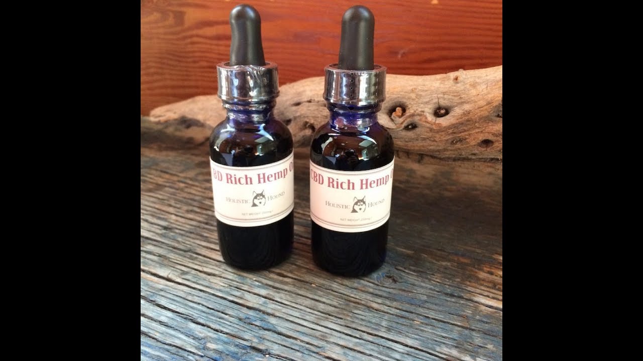 Обзор конопляного масла Hollistic Hound CBD Rich для собак