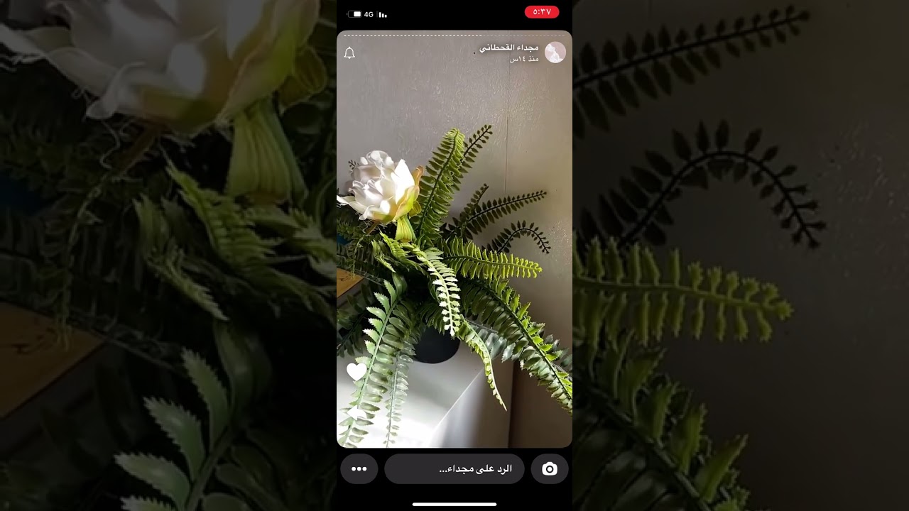 مجداء القحطاني .. قصة عجيبه