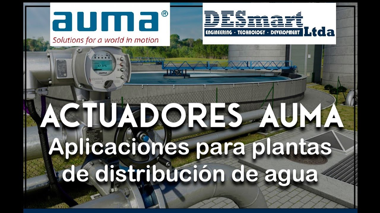 Webimar Auma-Desmart Ltda 25 de Mayo 2021
