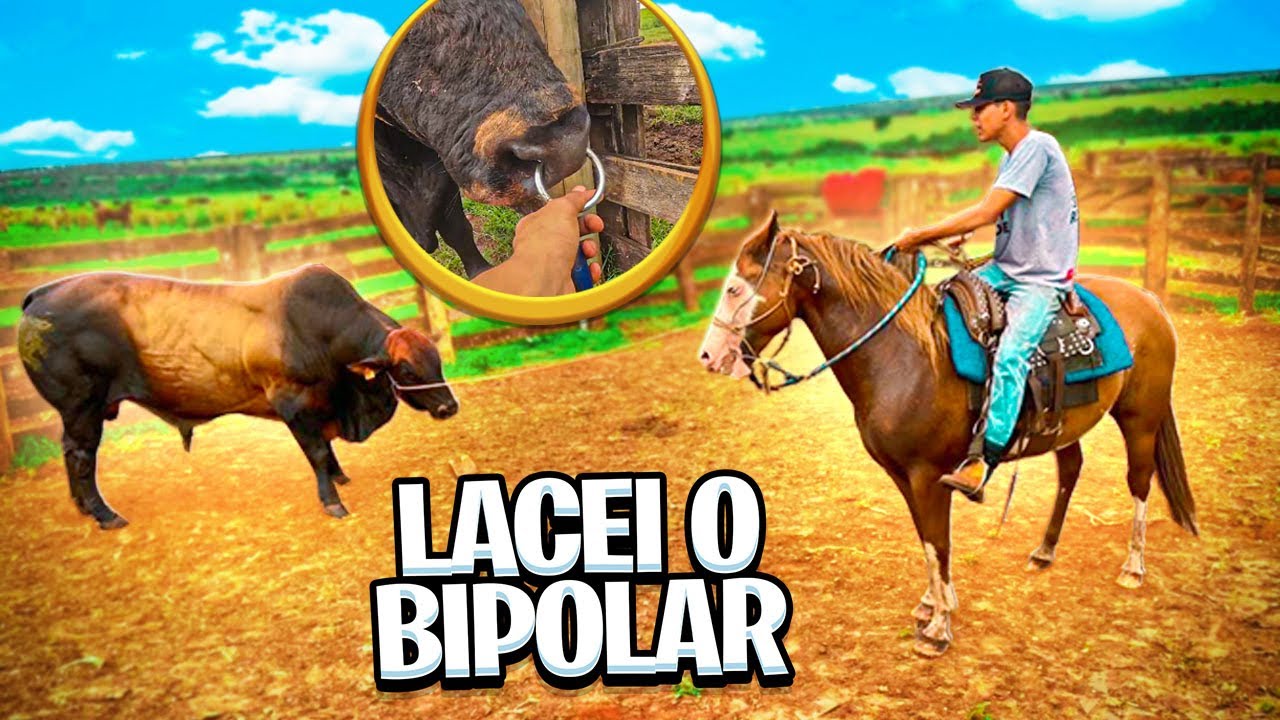 PEGUEI O BIPOLAR PRA DOMAR