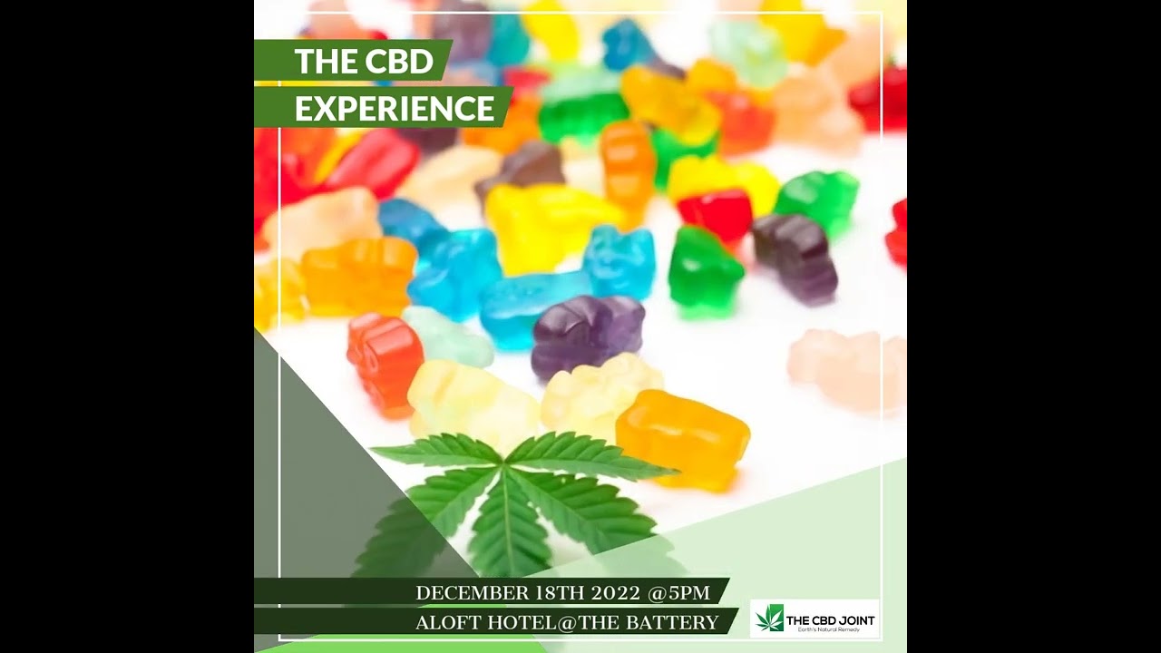 The CBD Experience