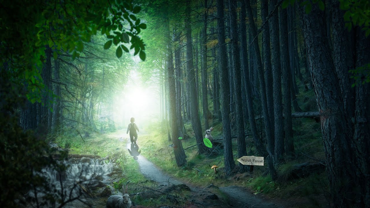 Photoshop Manipulation Tutorial Secret Forest 포토샵 합성 강좌 비밀의 숲