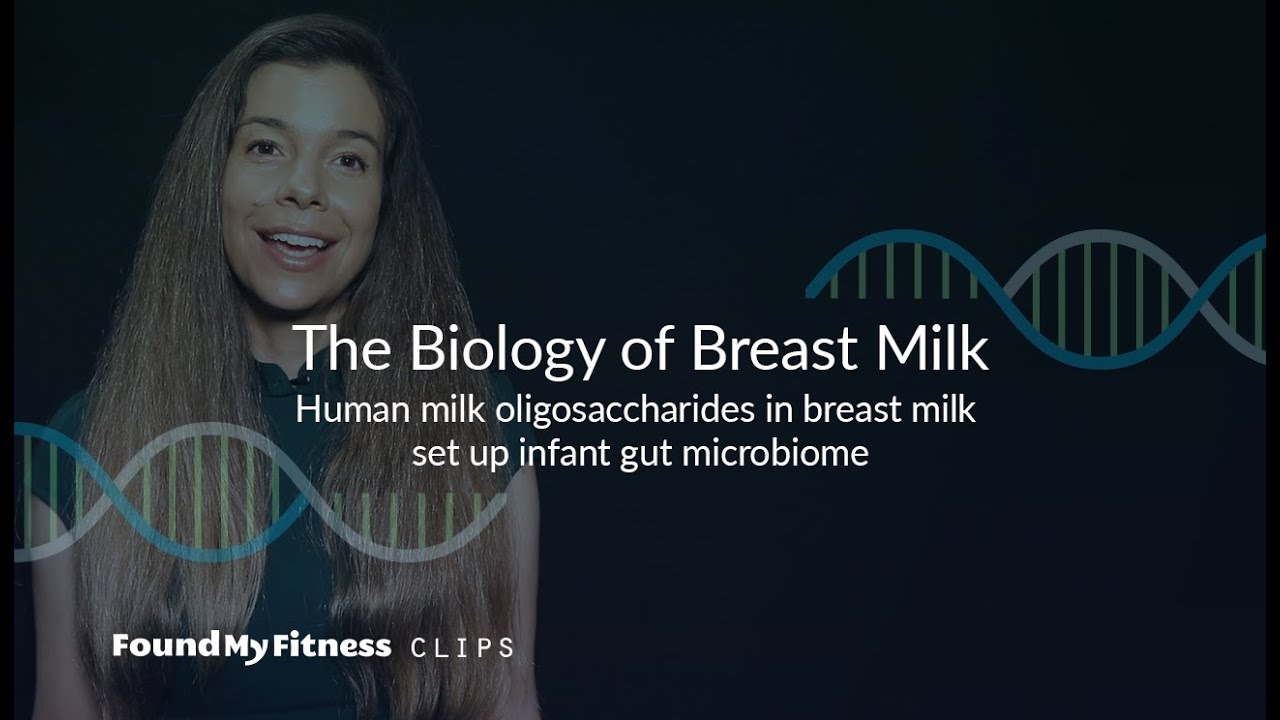 Human milk oligosaccharides in breast milk act as 