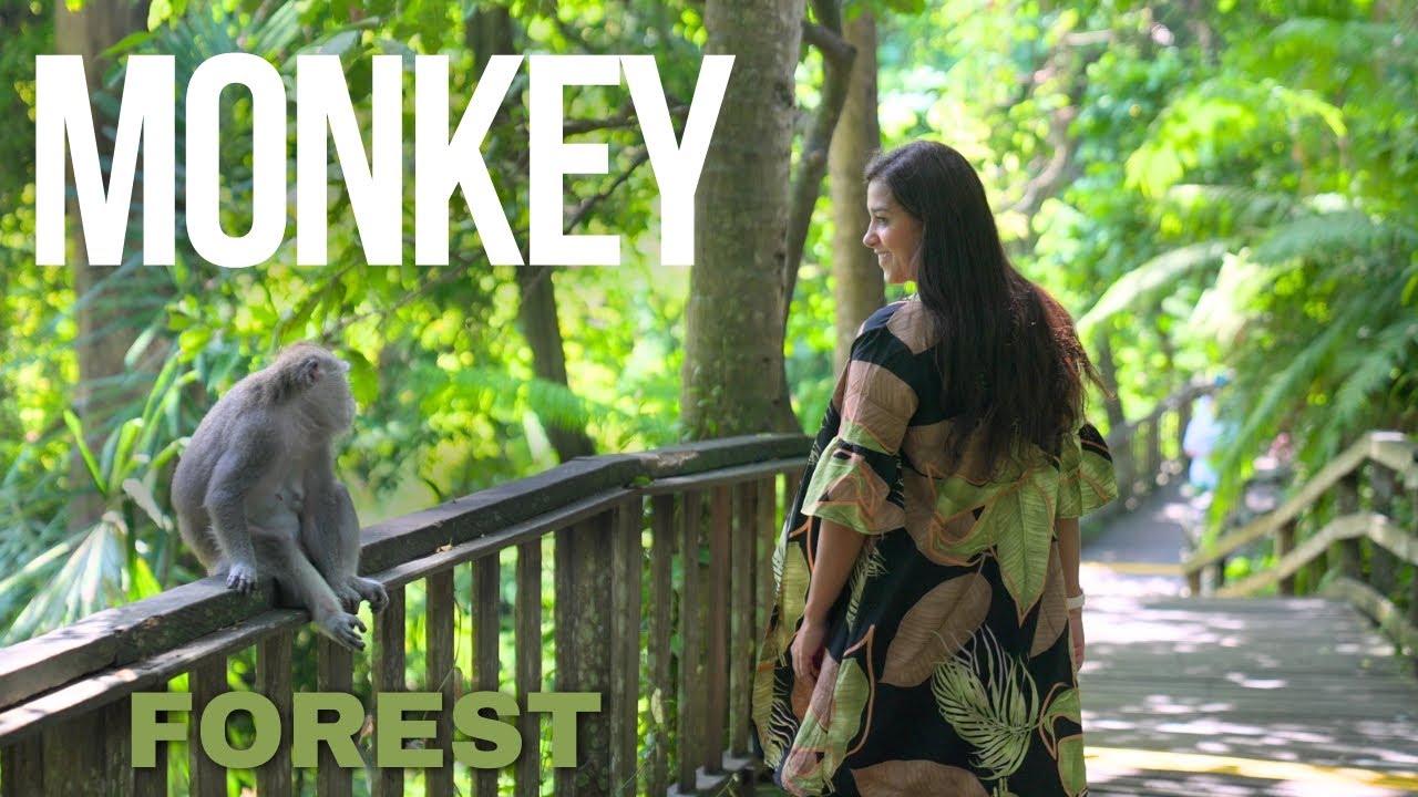 Explorando a Monkey Forest em Bali: Um Encontro Único com a Natureza e a Cultura!