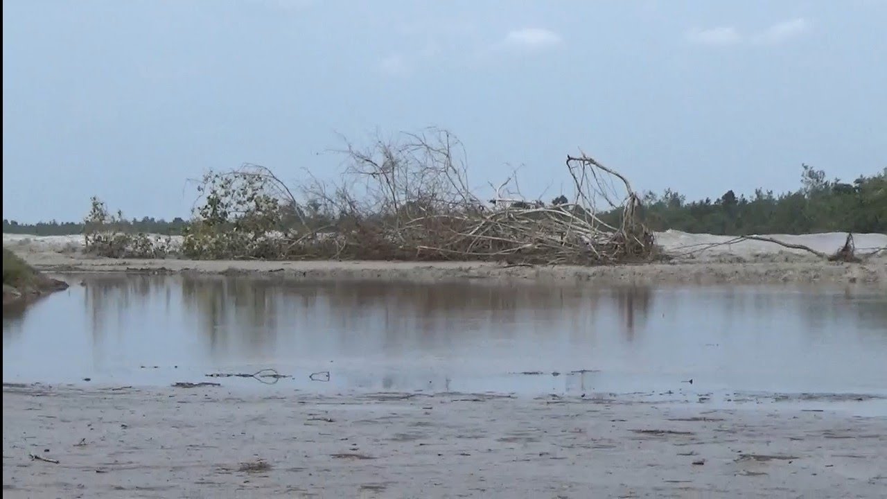 TERJADI LAGI FENOMENA ALAM TUMPUKAN KAYU MENGHANTAM PULAU