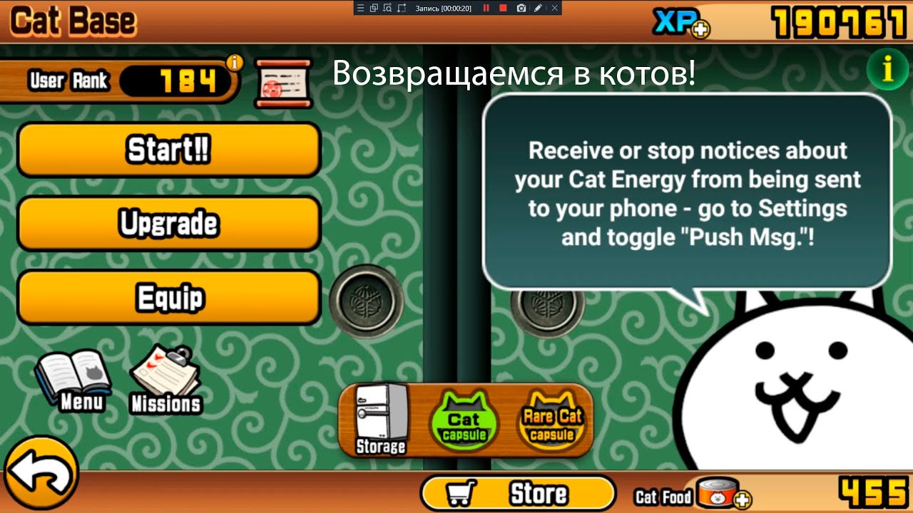 Возвращаемся в котов!
