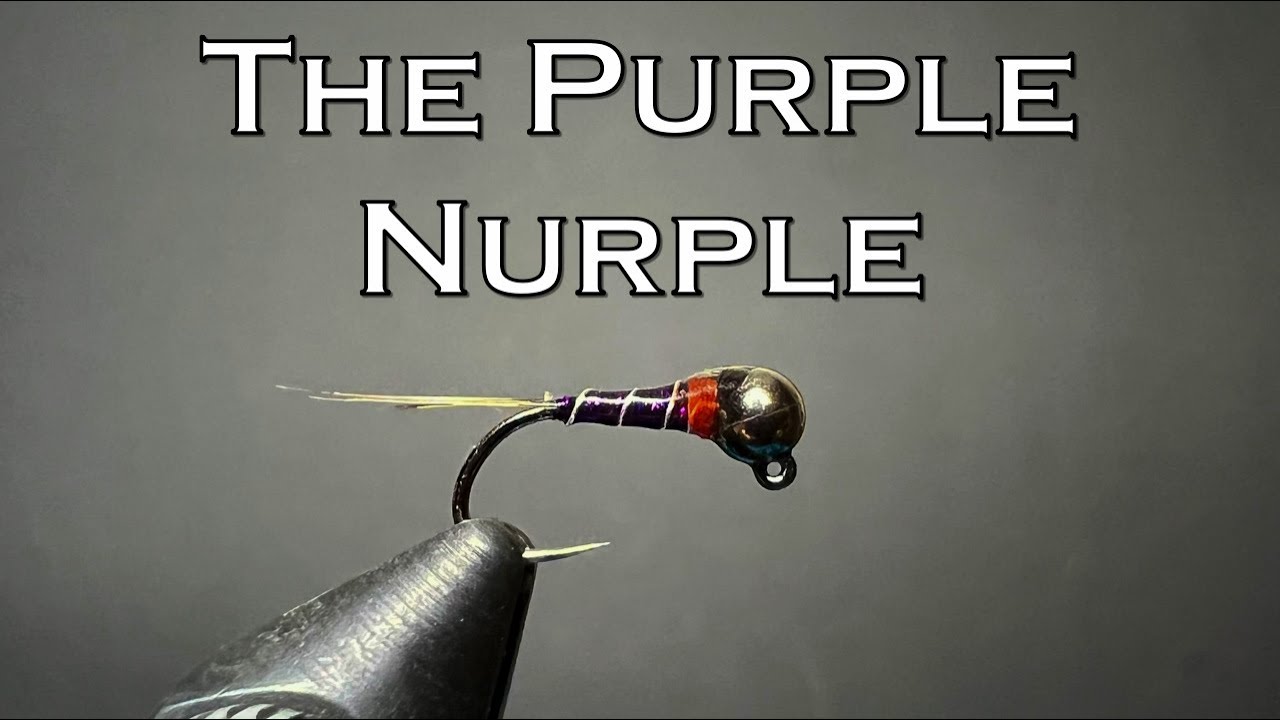 THIS FLY CRUSHES TROUT!!! || The Purple Nurple || Fly Tying Tuesday's Ep. 21