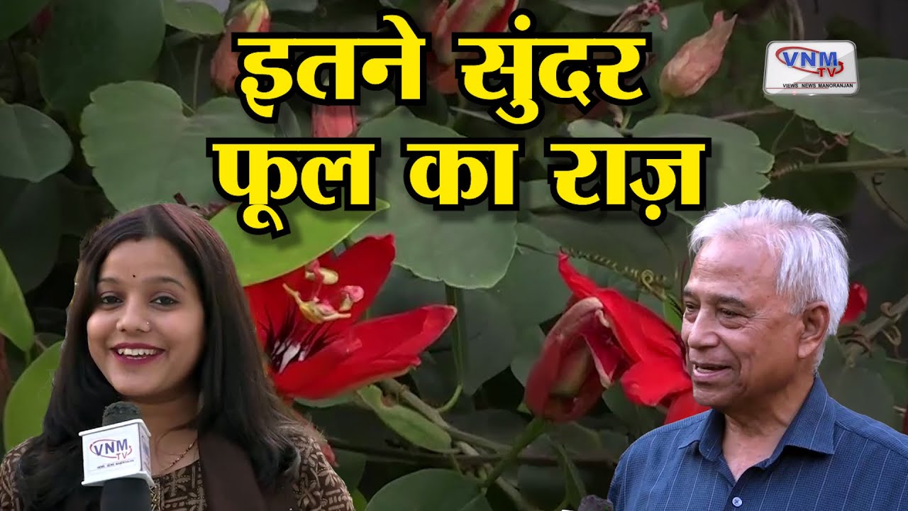 पेड़ों की कटिंग से बनाया 4000 स्क्वायर फीट का गार्डन | 4,000 square Foot Garden Tour #privategarden