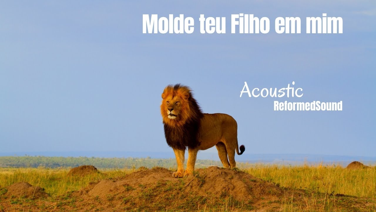 Molde teu Filho em mim | Acoustic ReformedSound