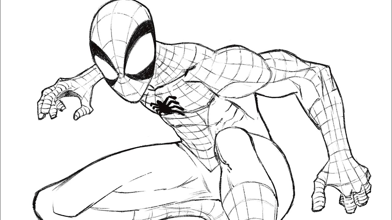 Spider-Man Sketch