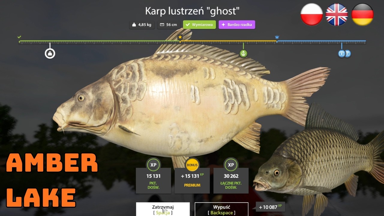Amber Lake Ładne Karpie ale bez trofeum | Russian Fishing 4