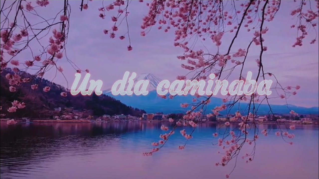 Un día caminaba|| cover Zuany Sotomayor