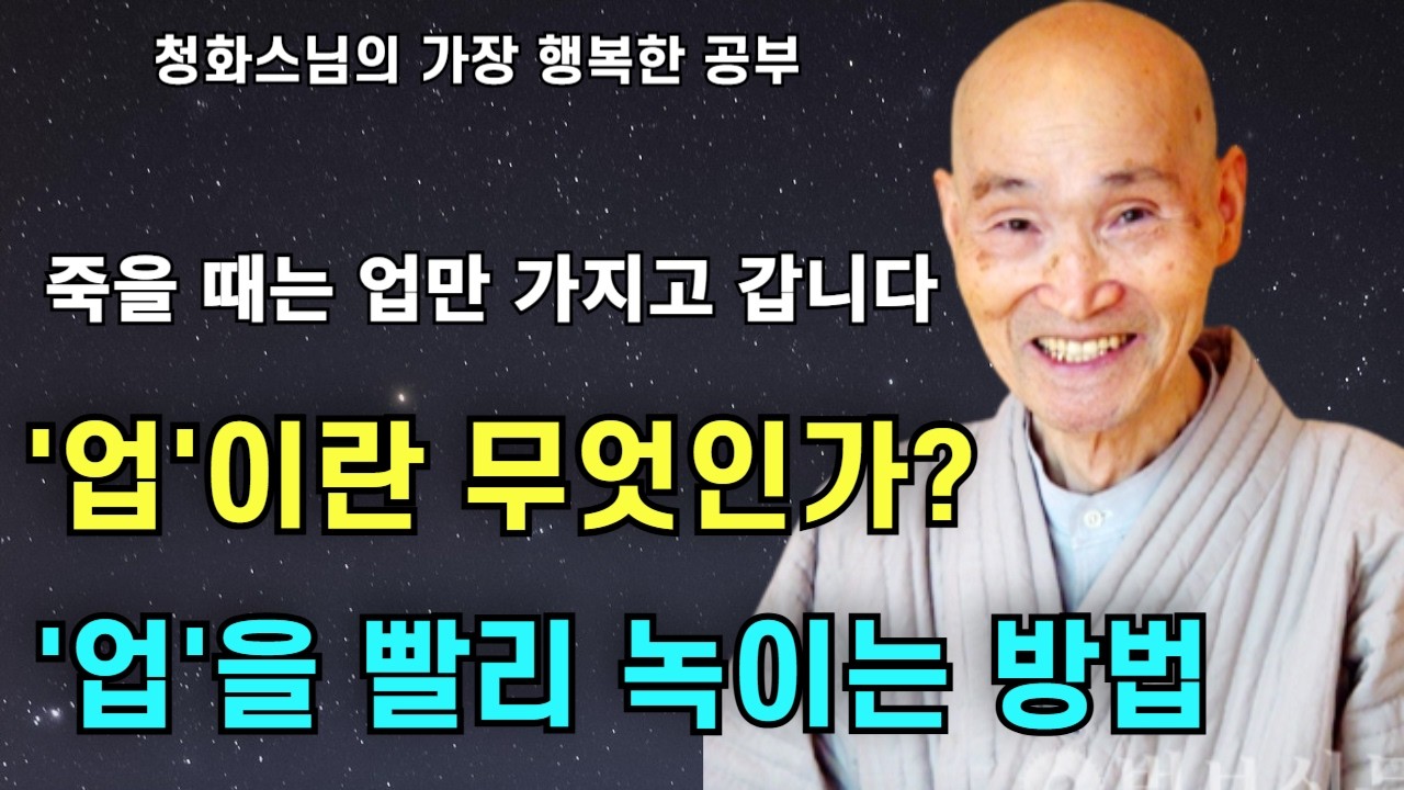 죽을 때는 업만 가지고 갑니다 업이란 무엇인가 업을 녹이는 방법 | 성격과 얼굴이 부모님을 닮은 이유 |청화스님 법문 가장행복한 공부