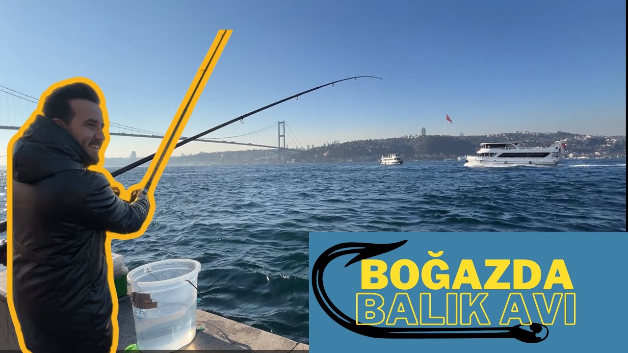 Muhteşem Boğaz Manzarasında İstavrit Balığı Avı.. #fishing #fishingvideo #balık #fisherman #fish