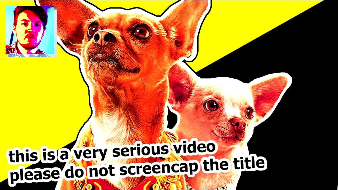 The Political Implications Of Talking Dog Movies