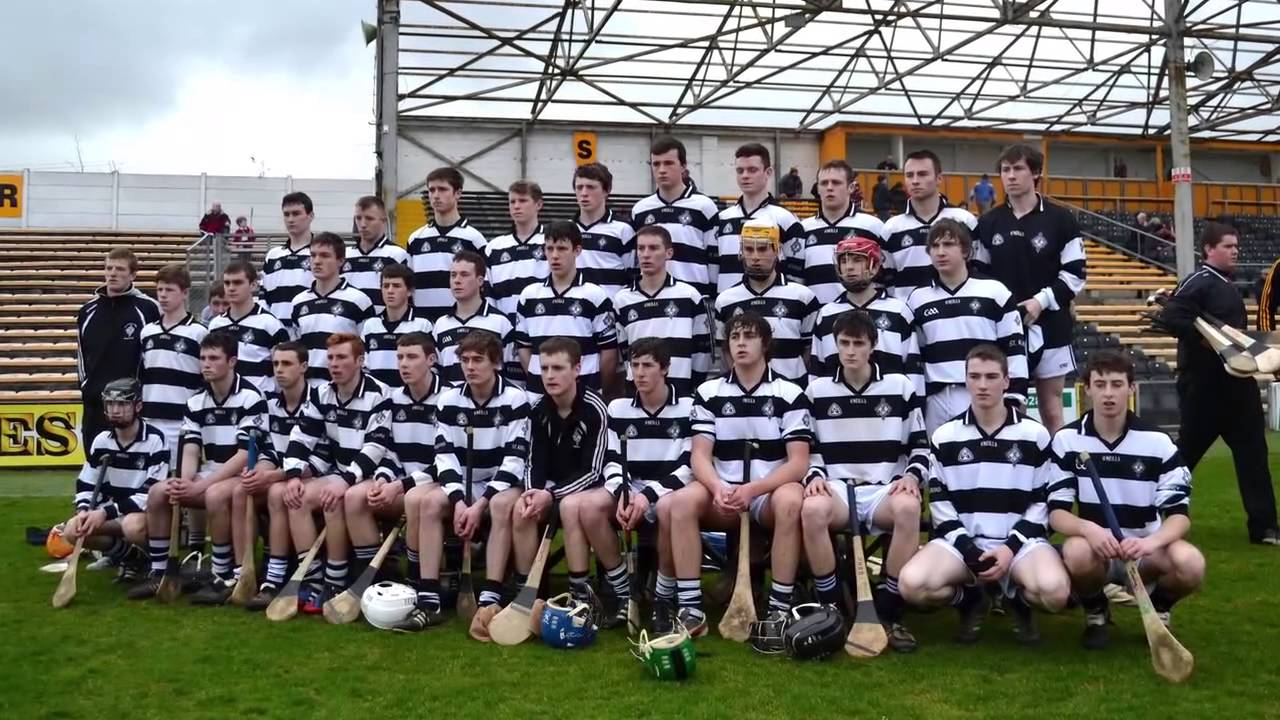 Senior Hurling Review