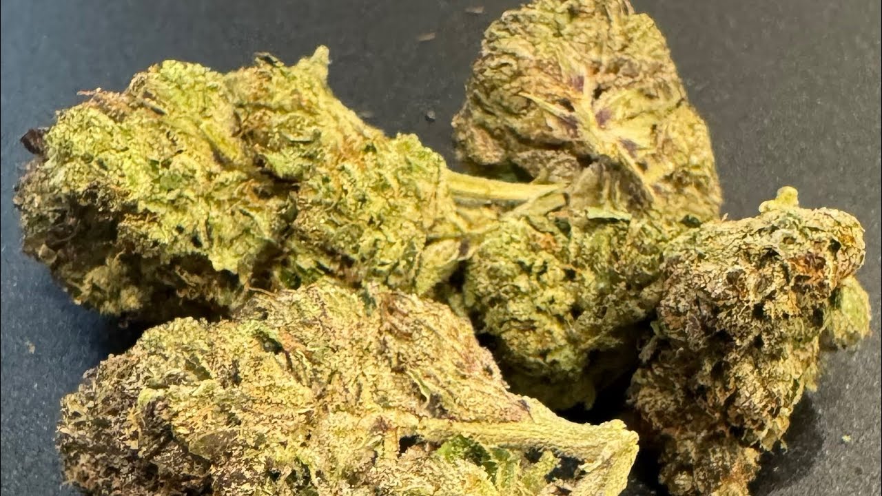 Gaslato THCA Strain Review 🔥 | First Time Trying Puffy (MyQwin) Exotic THCA Flower!