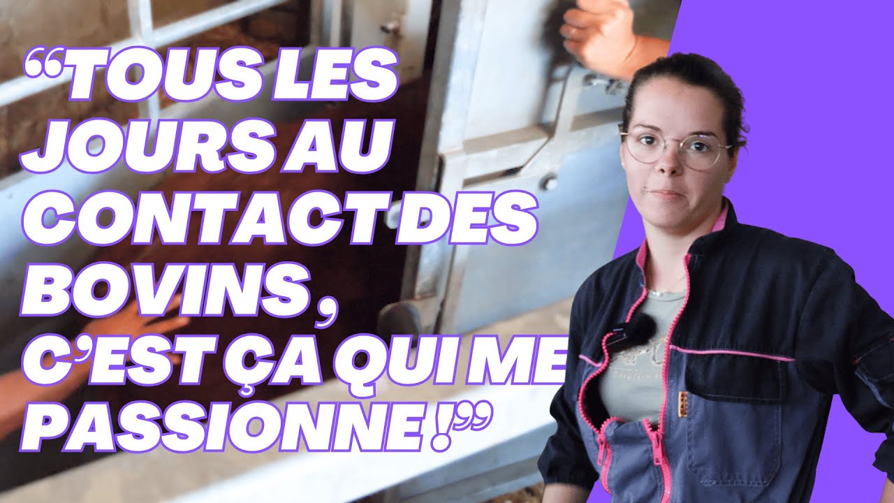 📈 MAXIMISER VOTRE RENTABILIT&Eacute; BOVINE : Le Tri Pr&eacute;cis des b&ecirc;tes avec Bovins Croissance