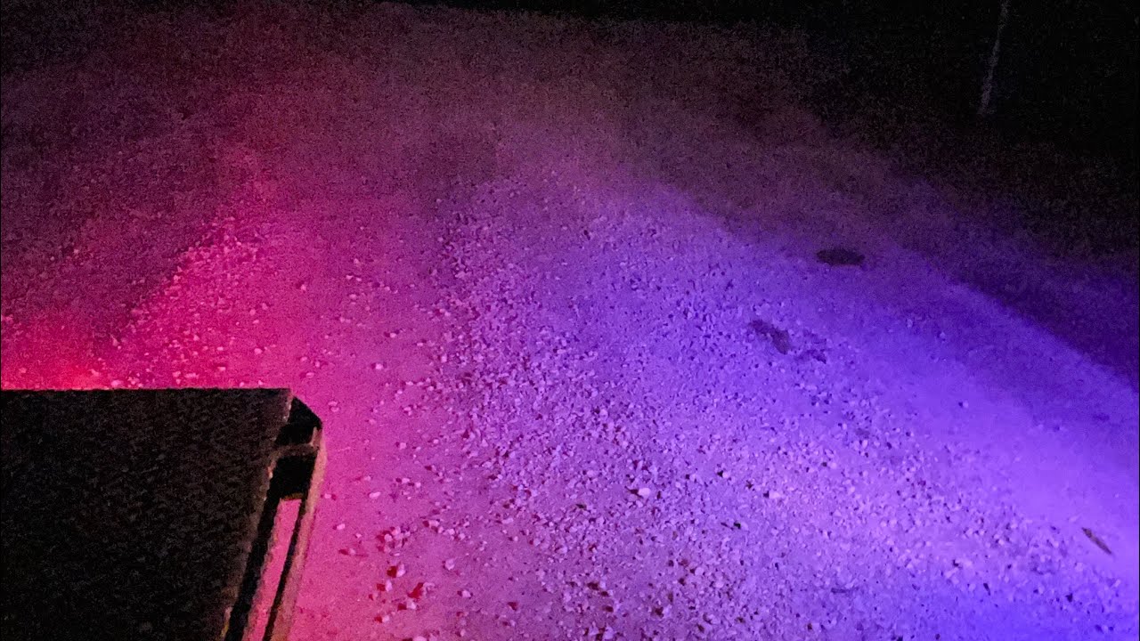 Stuff I found on my camera 