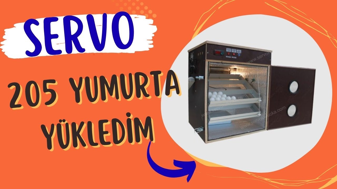 Servo Kuluçka Makinesine Yumurtaları Yükledim