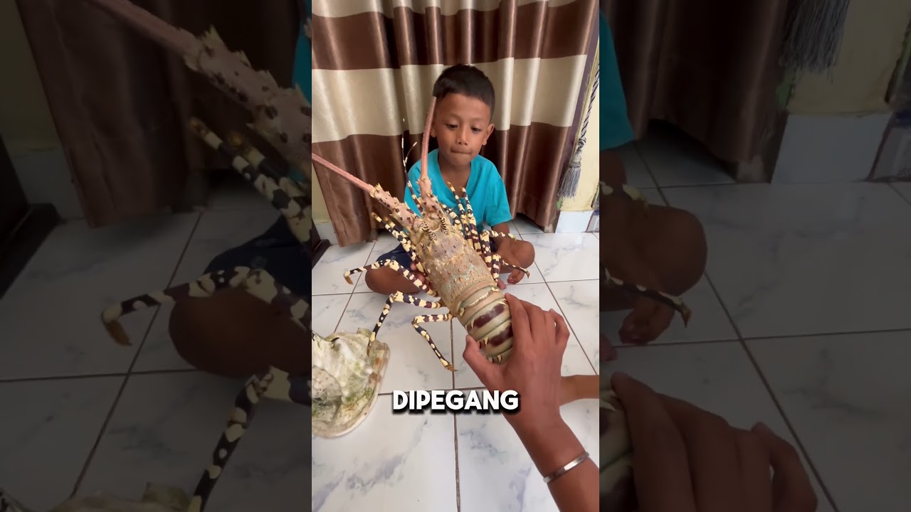 PILIH KEPITING ATAU KEONG 