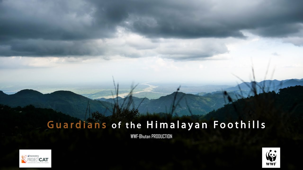 Guardians of the Himalayan Foothills