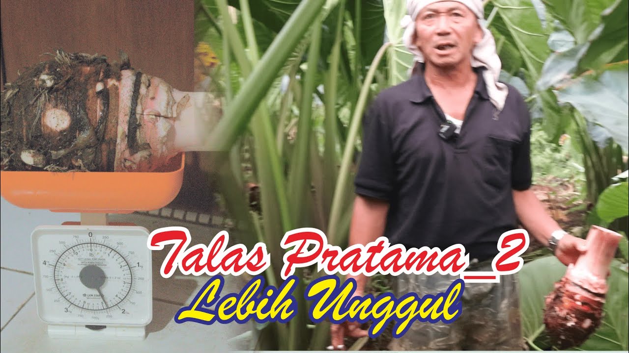 Pratama 2 Lebih Unggul
