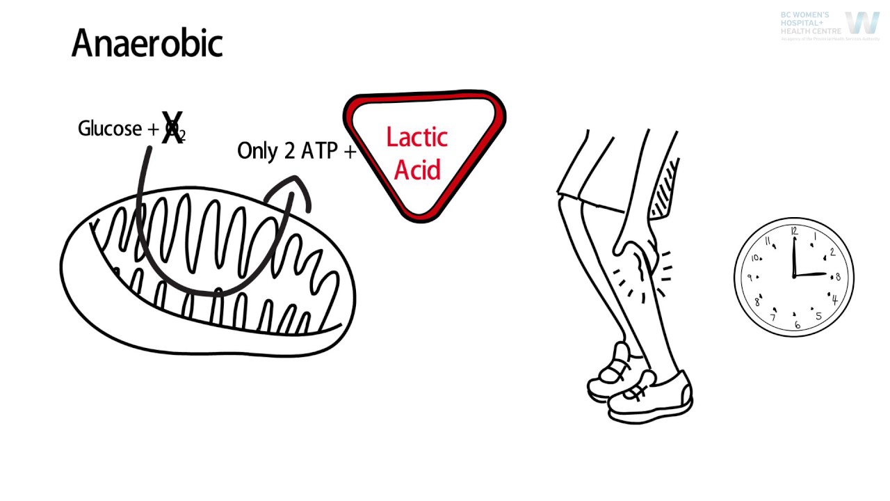 Mitochondria not Hypochondria