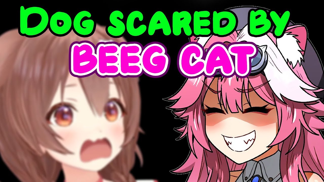 Korone Screamed in Terror When Meeting Raora for the First Time [Hololive/Minecraft]