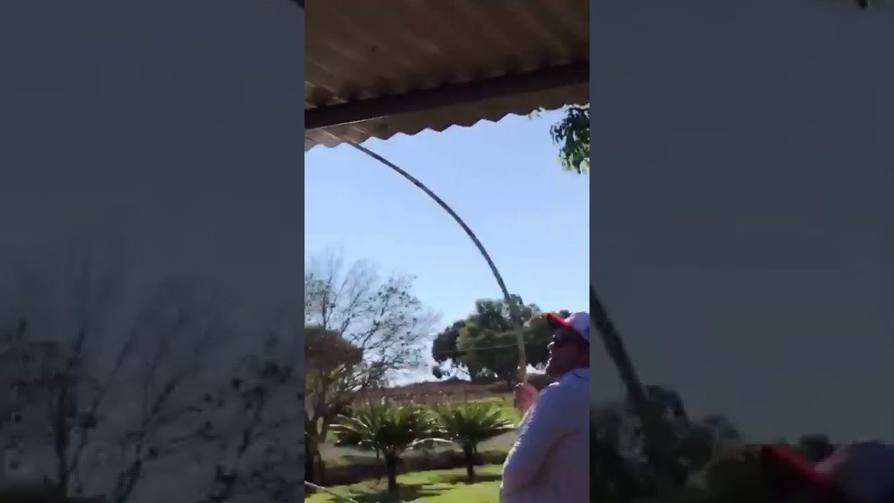 TAMBACU EXPLODINDO NO P&Atilde;O BOIANDO NO VAREJ&Atilde;O DE BAMBU !!!