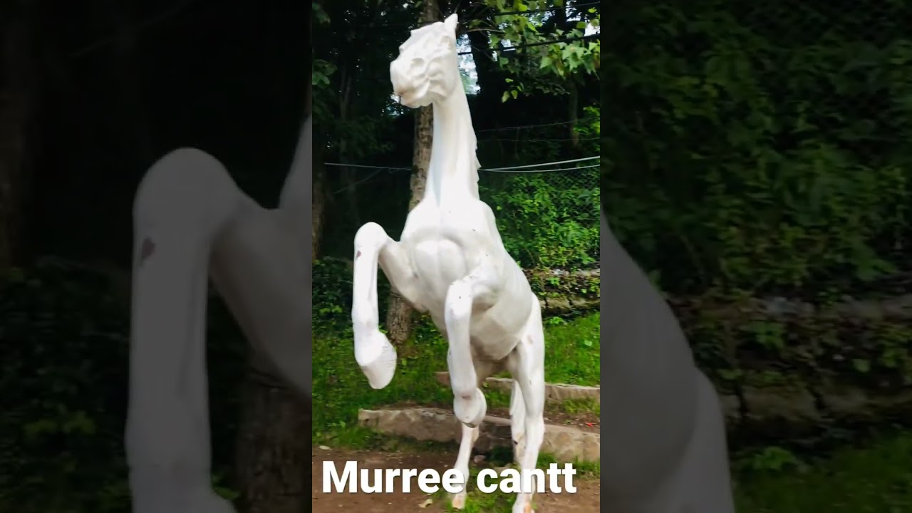 Murree cantt in monsoon 2022