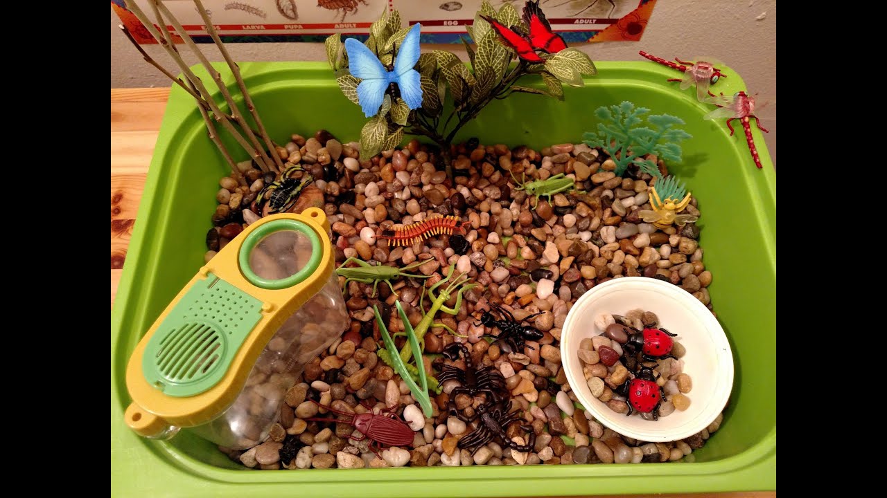 Insect Sensory Tub & Activities Preschool & Kindergarten Safari LTD