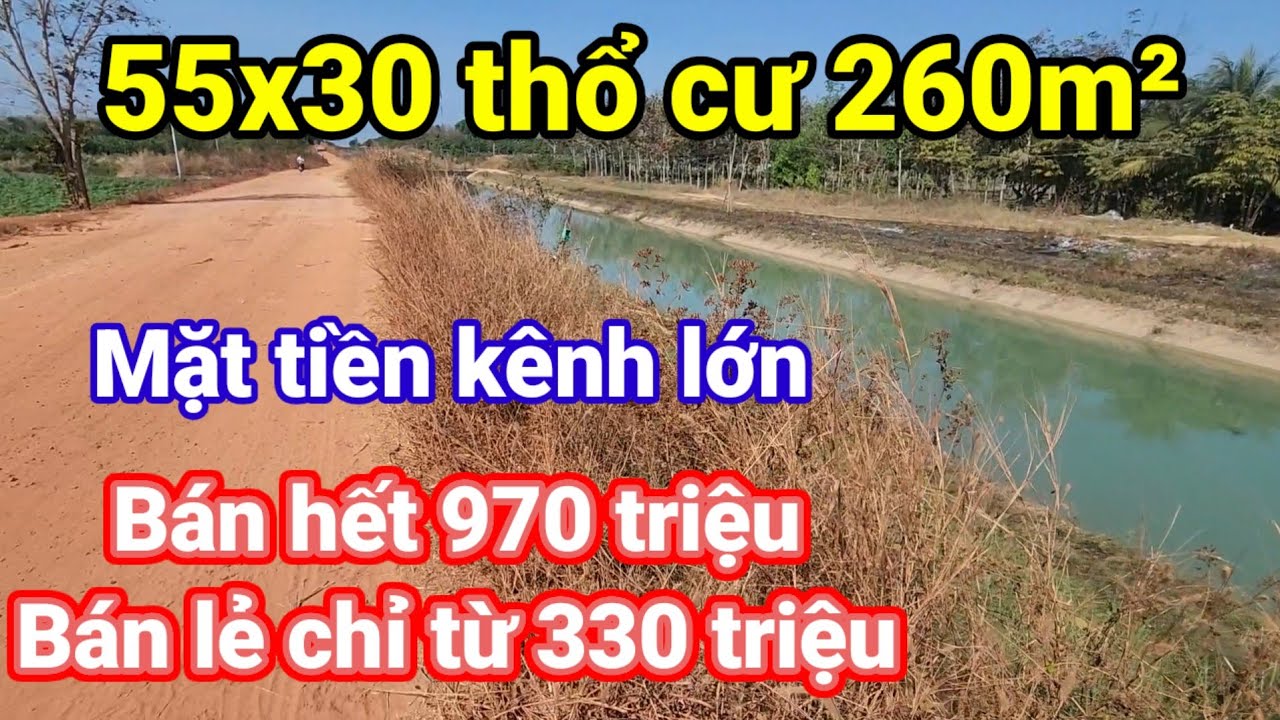 Đất giá rẻ giá chỉ 16 triệu 1 mét ngang cặp kênh lớn Tân Hưng Tây Ninh | Hoàng Minh BĐS 