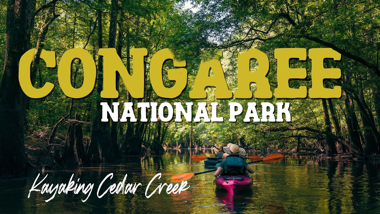 Congaree National Park: Kayaking Cedar Creek [4K]