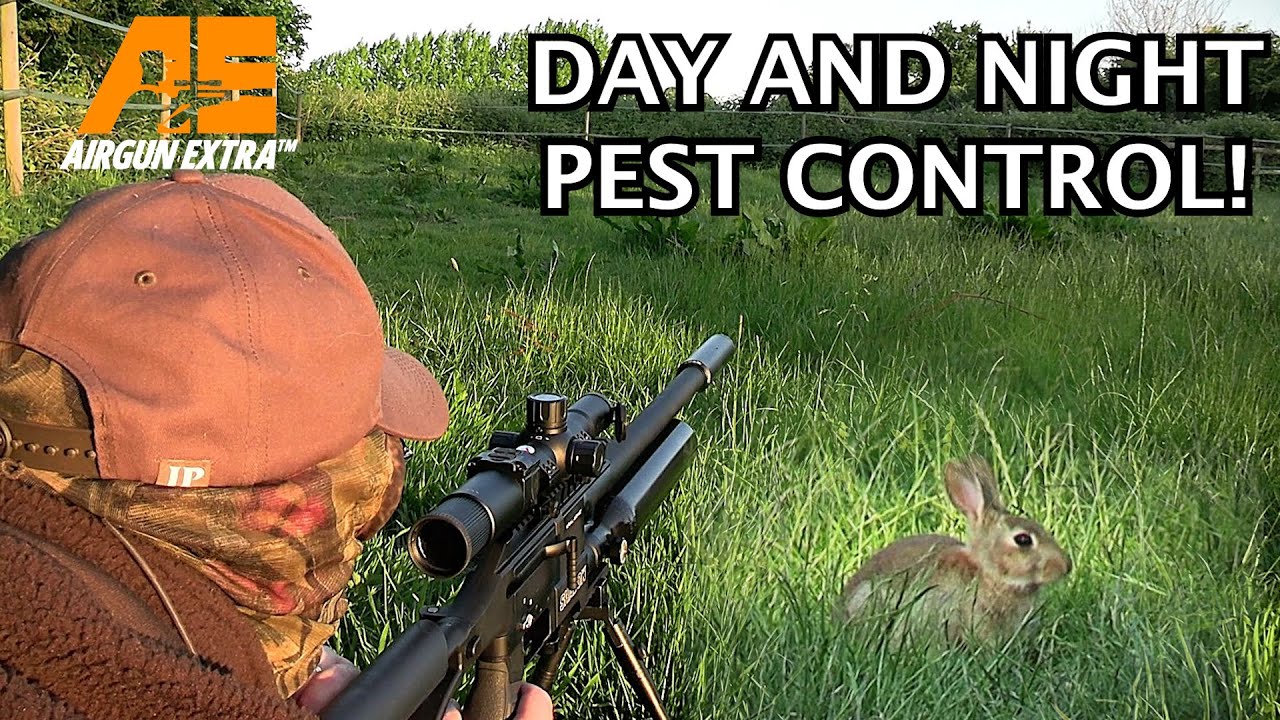 Airgun Extra | Day and night rabbit and rat shooting | NateChrony muzzle mounted chronograph