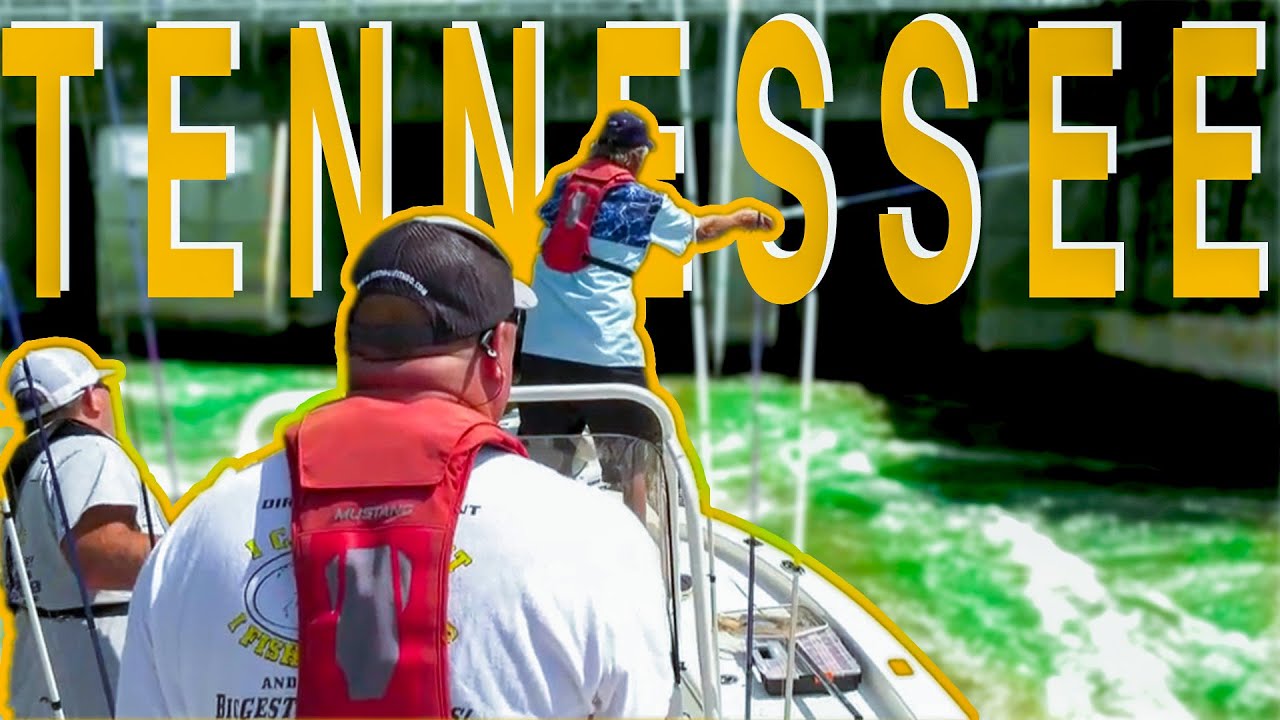 CRAZY WATER RIDE FISHING IN TENNESSEE!!!