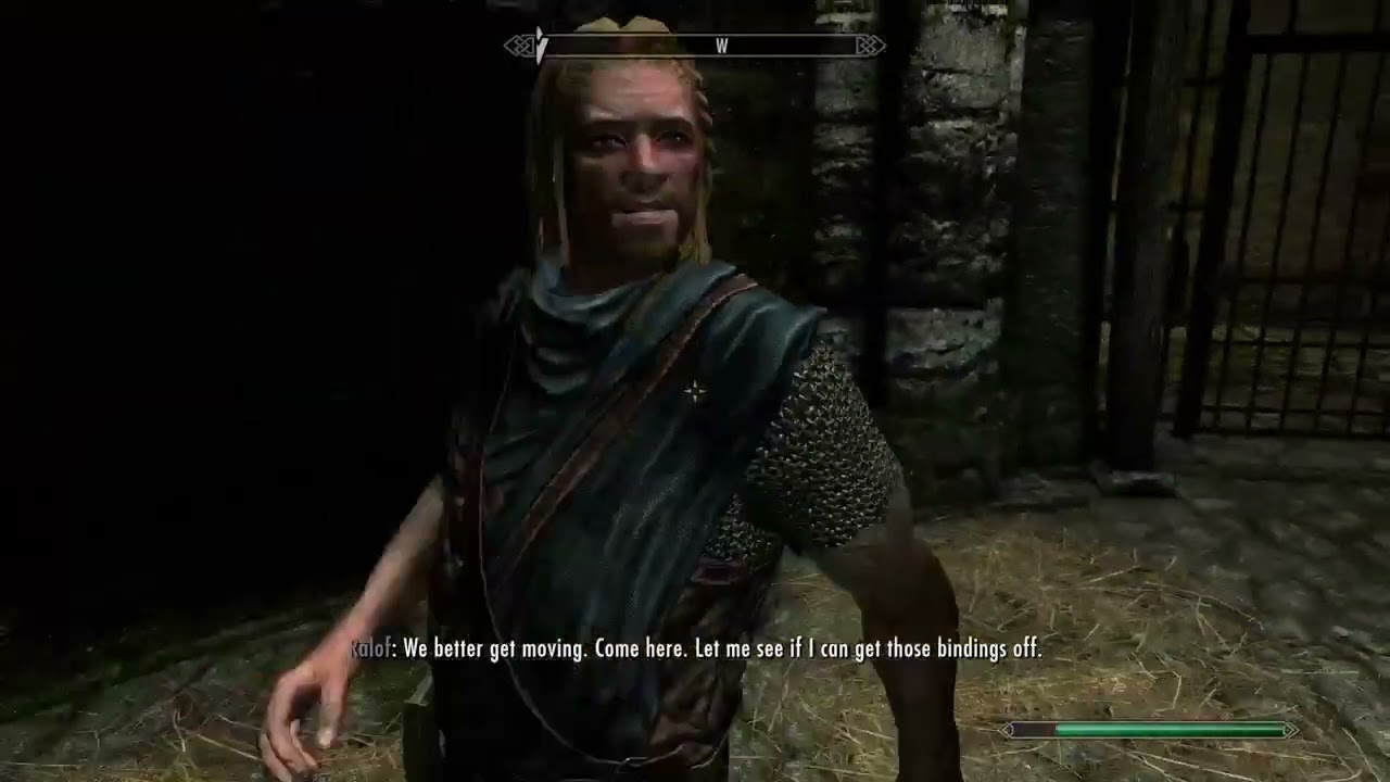 The skyrim run