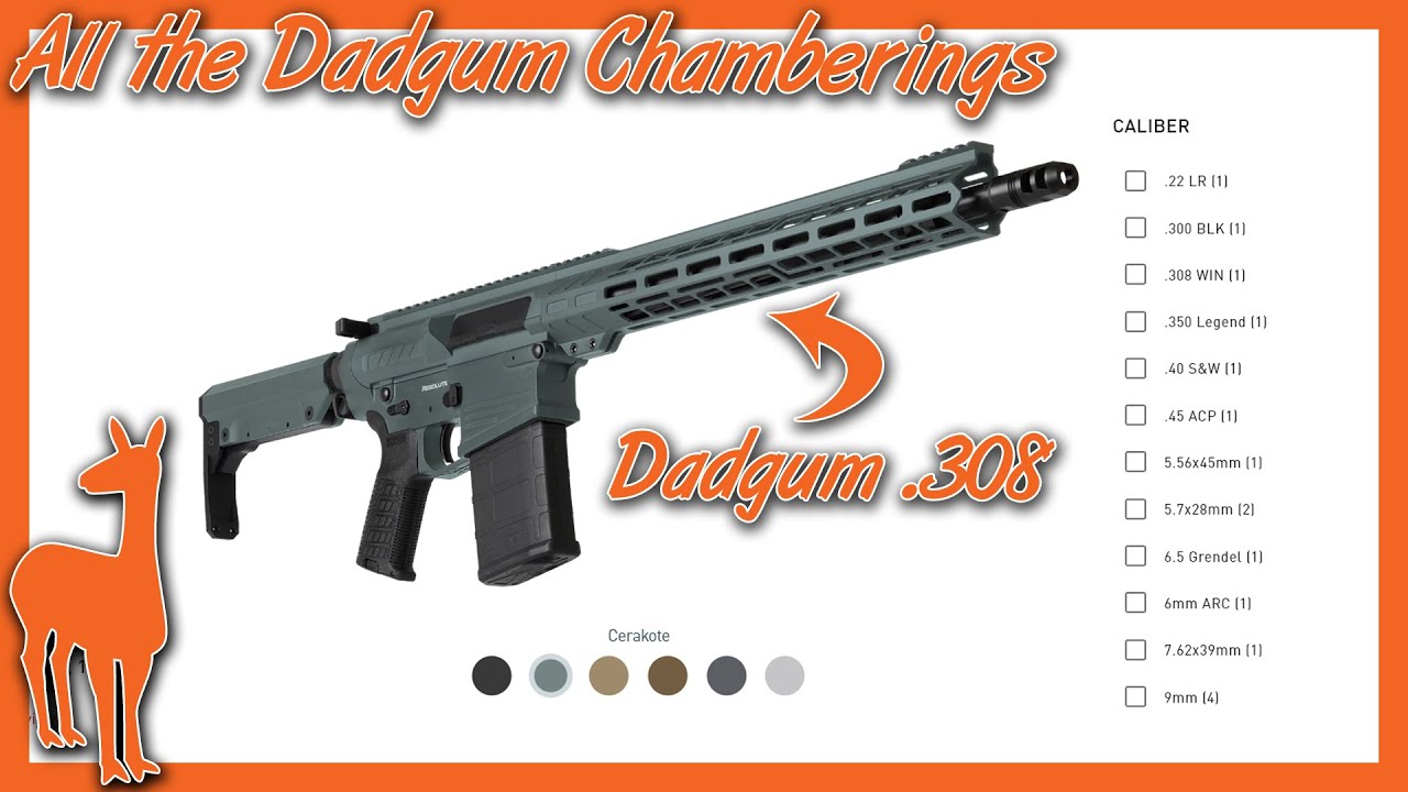 Pretty, Precise, Powerful - CMMG Resolute