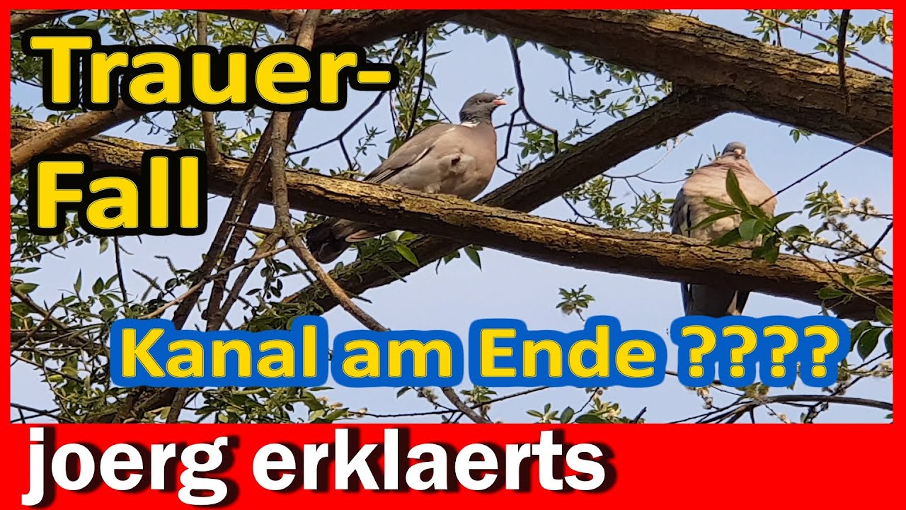 Es ist sehr schlimm... Trauerfall bei Joerg erklaerts