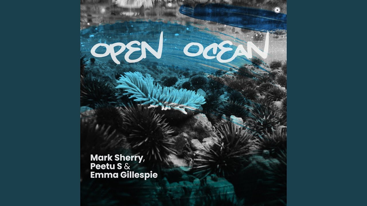 Open Ocean (Extended Mix)