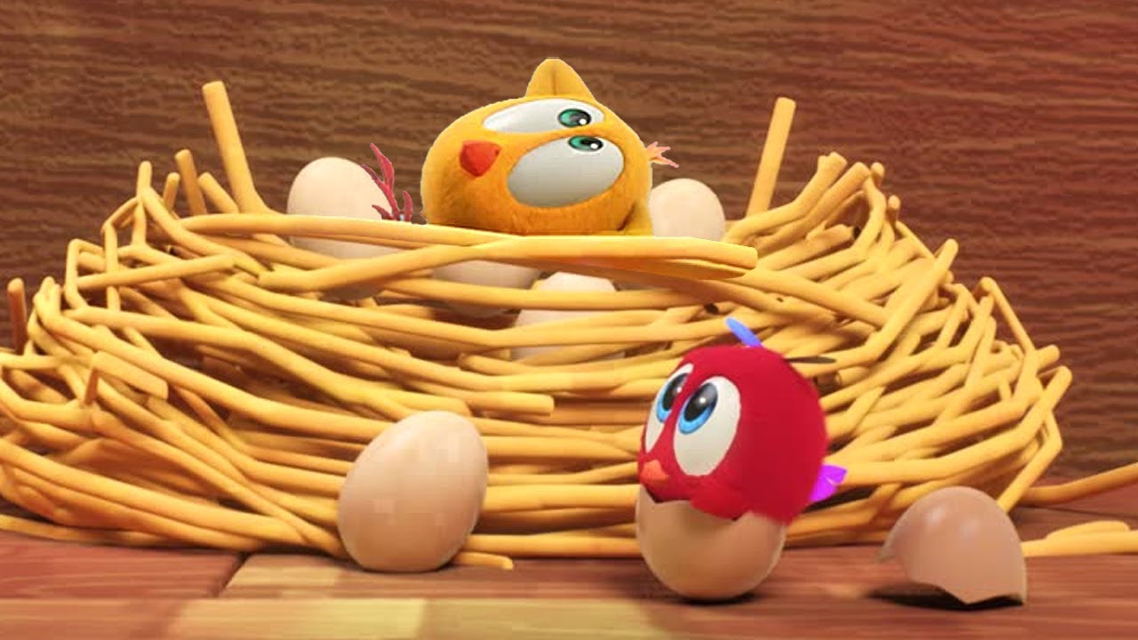 Nap in the Nest | Where's Chicky? | Cartoon Collection in English for Kids | New episodes